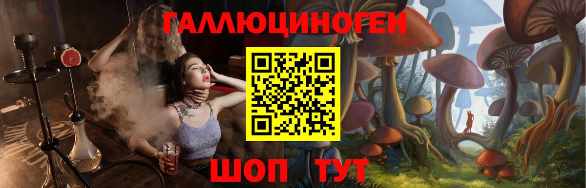 Псилоцибиновые грибы Magic Shrooms  Вход с VPN  Димитровград 